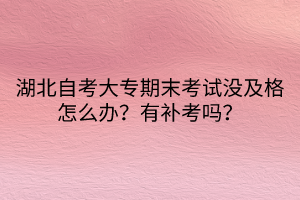湖北自考大專期末考試沒及格怎么辦？有補(bǔ)考嗎？