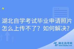 湖北自學(xué)考試畢業(yè)申請照片怎么上傳不了？如何解決？