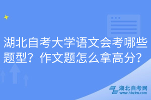 湖北自考大學(xué)語文會(huì)考哪些題型？作文題怎么拿高分？
