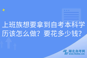上班族想要拿到自考本科學(xué)歷該怎么做？要花多少錢？