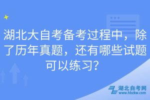 湖北大自考備考過程中，除了歷年真題，還有哪些試題可以練習(xí)？