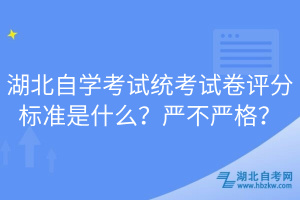 湖北自學考試統(tǒng)考試卷評分標準是什么？嚴不嚴格？