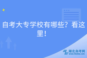 自考大專學(xué)校有哪些？看這里！