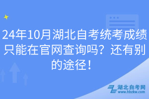 24年10月湖北自考統(tǒng)考成績只能在官網(wǎng)查詢嗎?還有別的途徑!
