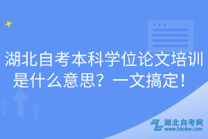 湖北自考本科學(xué)位論文培訓(xùn)是什么意思?一文搞定!