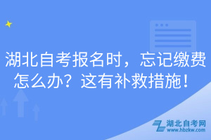 湖北自考報名時，忘記繳費怎么辦？這有補救措施！