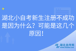 湖北小自考新生注冊(cè)不成功是因?yàn)槭裁矗靠赡苁沁@幾個(gè)原因！