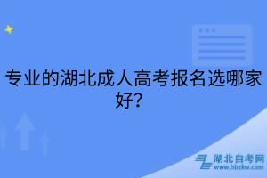 專業(yè)的湖北成人高考報名選哪家好？
