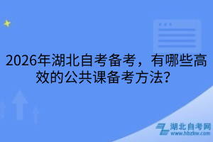 2026年湖北自考備考，有哪些高效的公共課備考方法？