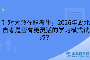 針對大齡在職考生，2026年湖北自考是否有更靈活的學習模式試點？