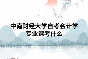 中南財(cái)經(jīng)大學(xué)自考會(huì)計(jì)學(xué)專業(yè)課考什么
