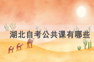武漢理工大學(xué)自考公共課有哪些，專(zhuān)業(yè)課和選考課難度怎樣？