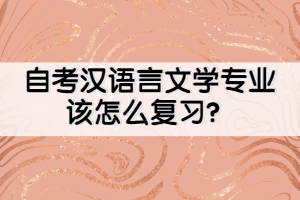 自考漢語言文學(xué)專業(yè)該怎么復(fù)習(xí)？