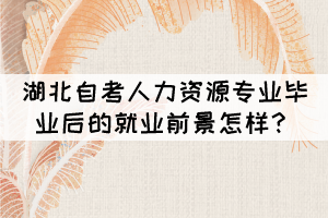 湖北自考人力資源專業(yè)畢業(yè)后的就業(yè)前景怎樣? 湖北自考人力資源專業(yè)畢業(yè)后的就業(yè)前景怎樣?