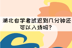 湖北自學考試遲到幾分鐘還可以入場嗎？