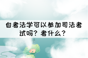 自考法學(xué)可以參加司法考試嗎?考什么? 自考法學(xué)可以參加司法考試嗎?考什么?