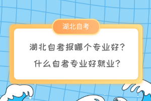 湖北自考報哪個專業(yè)好？什么自考專業(yè)好就業(yè)？