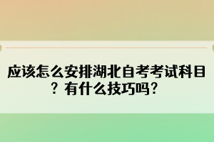 應該怎么安排湖北自考考試科目？有什么技巧嗎？