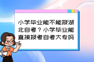 小學(xué)畢業(yè)能不能報湖北自考？小學(xué)畢業(yè)能直接報考自考大專嗎？