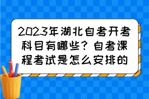2023年湖北自考開考科目有哪些？自考課程考試是怎么安排的？