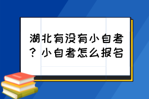 湖北有沒有小自考？小自考怎么報名？