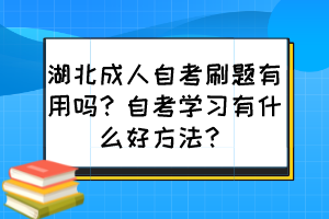 湖北成人自考刷題有用嗎？自考學習有什么好方法？