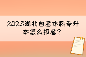 2023湖北自考本科專升本怎么報(bào)考？
