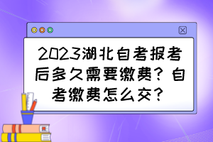 2023湖北自考報考后多久需要繳費？自考繳費怎么交？