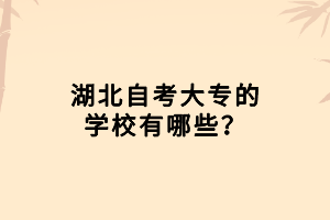 湖北自考大專的學校有哪些？