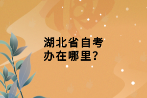 湖北省自考辦在哪里？