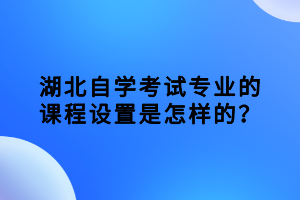 湖北自學考試專業(yè)的課程設置是怎樣的？