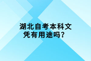 湖北自考本科文憑有用途嗎？