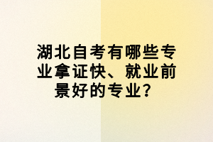 湖北自考有哪些專業(yè)拿證快、就業(yè)前景好的專業(yè)？