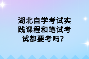 湖北自學(xué)考試實踐課程和筆試考試都要考嗎？
