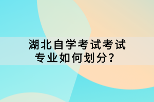 湖北自學(xué)考試考試專(zhuān)業(yè)如何劃分？