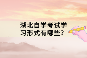 湖北自學考試學習形式有哪些？