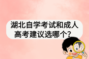 湖北自學(xué)考試和成人高考建議選哪個？