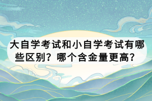 大自學考試和小自學考試有哪些區(qū)別？哪個含金量更高？