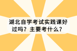 湖北自學(xué)考試實(shí)踐課好過嗎？主要考什么？