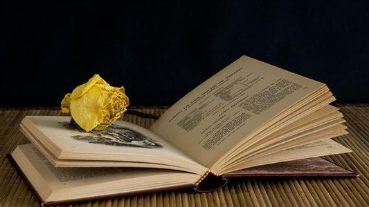 武漢輕工大學自考本科招生信息網(wǎng)網(wǎng)址是什么