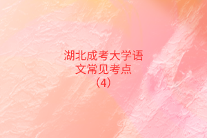 湖北成考大學(xué)語(yǔ)文常見考點(diǎn)(4)
