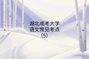 湖北成考大學(xué)語(yǔ)文常見考點(diǎn)(5)