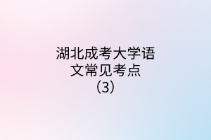 湖北成考大學(xué)語(yǔ)文常見考點(diǎn)(3)