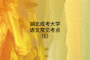 湖北成考大學(xué)語(yǔ)文常見考點(diǎn)(6)