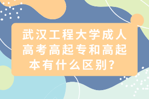 武漢工程大學(xué)成人高考高起專和高起本有什么區(qū)別？