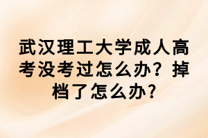 武漢理工大學(xué)成人高考沒考過怎么辦？掉檔了怎么辦?