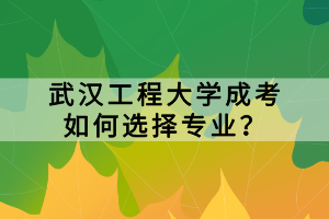 武漢工程大學(xué)成考如何選擇專業(yè)？