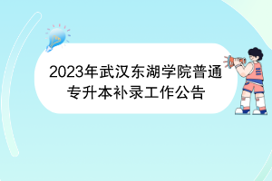 2023年武漢東湖學(xué)院普通專升本補錄工作公告