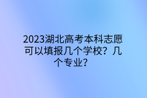 2023湖北高考本科志愿可以填報(bào)幾個(gè)學(xué)校？幾個(gè)專業(yè)？