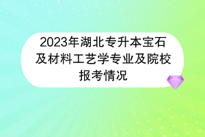 2023年湖北專(zhuān)升本寶石及材料工藝學(xué)專(zhuān)業(yè)及院校報(bào)考情況